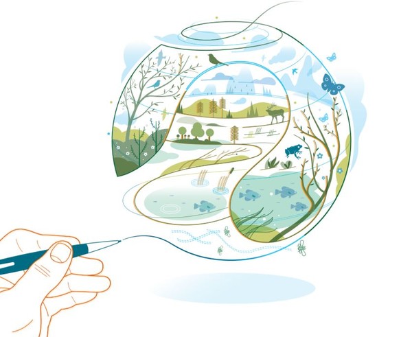 아마존은 2019년 기후 선언(the Climate Pledge)을 통해 2040년 넷제로 실현과 2050년 파리 기후변화 협정 목표를 실현할 것이라고 밝혔다/아마존