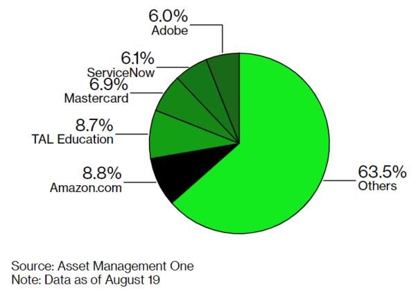 Global ESG High Quality Growth Equity Fund 포트폴리오/블룸버그 그린