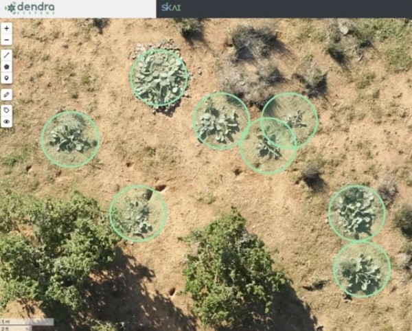 호주 스타트업 덴드라 시스템은 인공지능(AI), 드론 등 최첨단 기술을 활용해 전 세계 산림 벌채 문제를 해결하고자 한다/덴드라