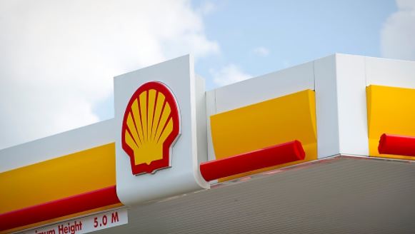 7개 환경운동단체들은 화석연료에 수십억 달러를 투자해 환경 파괴를 야기한 셸을 상대로 지난 해 4월 소송을 제기했으며, 지난 30일 첫 소송 공판이 열렸다/셸