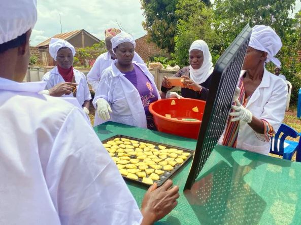 동아프리카 농부들은 과일을 직접 수확, 건조하고 있다/어그리 사이클