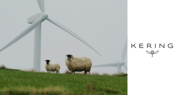 구찌, 입생로랑 등 명품 브랜드 모기업인 케링그룹은 지속가능한 농업 방식을 확대시키기위해 자연재생기금을 조성해 향후 5년간 지원하겠다고 발표했다. / 픽사베이