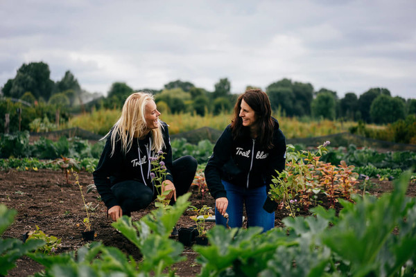 세일즈포스는 세계경제포럼에서  10년 동안 1조 그루의 나무를 심고 보호하겠다는 목표를 발표했다/세일즈포스