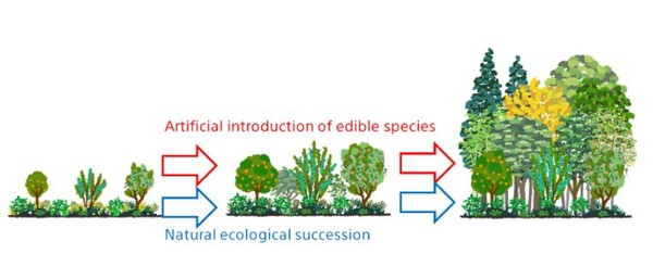 시네코컬처는 AI로 농업 생태계의 생산성을 높이고 있다/시네코컬처