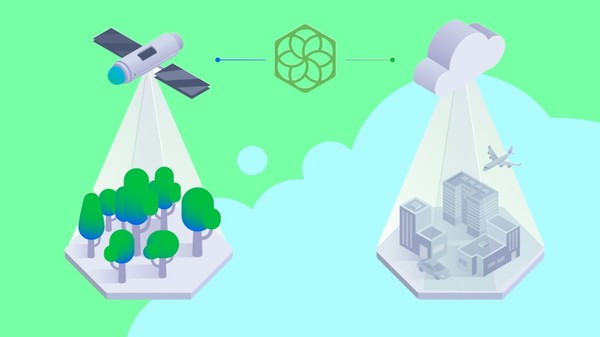 파차마는 탄소 추적이나 데이터 수집에 나아가 삼림이 흡수하는 탄소량을 추정하는 스타트업이다/파차마