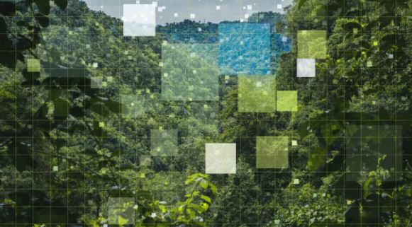 영국 정부는 유럽 친환경 투자의 그린워싱을 식별하고 투자자, 소비자, 기업의 녹색 금융 관련 의사결정을 지원하는 '녹색 기술 자문 그룹(GTAG)'을 발족했다/GTAG