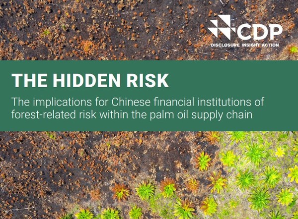 CDP는 중국 금융기관이 중국에서 팜유를 공급받은 기업에 총 51억 달러 규모의 대출과 보증을 제공했다고 밝혔다/CDP