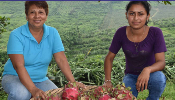 ﻿트리오도스 은행의 임팩트 투자 수혜 농민/ 트리오도스 은행