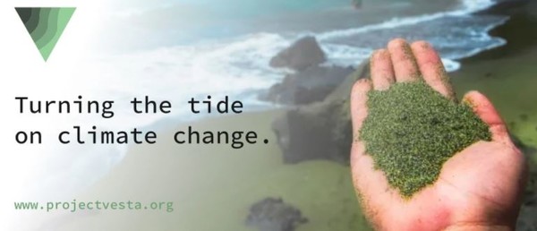 프로젝트 베스타는 바다의 힘으로 탄소를 포획하는 블루 탄소 기법을 활용한다/프로젝트 베스타