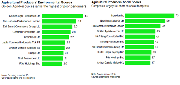 농산업 환경 점수(좌), 농산업 사회 점수(우) /블룸버그 인텔리전스