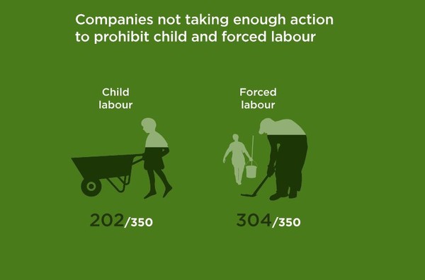 공급망 내 아동 및 강제 노동 근절을 위해 실천하고 있는 기업들은 소수에 불과했다/WBA