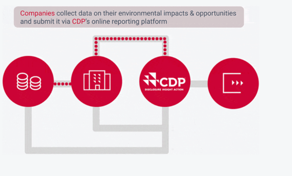 ﻿공급망 온라인 환경 데이터 보고 플랫폼을 지원하는 CDP/ CDP