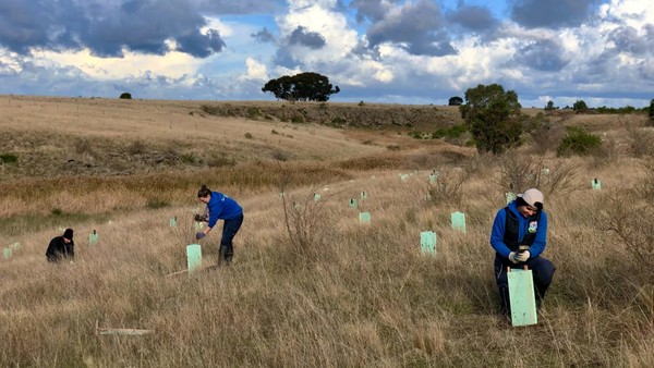 데이터를 기반으로 활동 수행하는 코알라 클랜시 재단