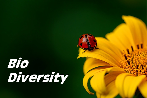 다국적 금융그룹 HSBC가 세계 최초로 생물다양성 벤치마크 지수를 새롭게 론칭했다