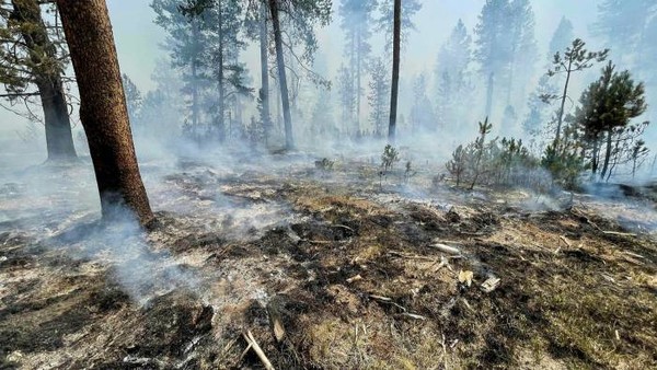 ﻿워싱턴과 오레곤주에서 발생한 산불로 인해 BP와 마이크로소프트의 탄소상쇄 사업에 피해가 발생했다./ US Forest Service