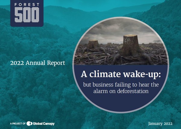 캐노피는 글로벌 대형 금융사 및 기업의 삼림 벌채 대응을 추적한 포레스트500 연례 보고서를 최근 공개했다./ 글로벌 캐노피 