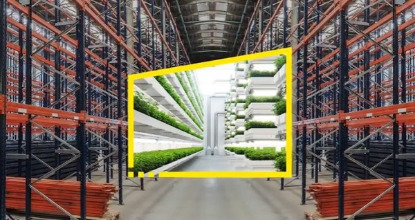 CEO들은 올해 ESG를 중심으로 기업 성장을 가속화하고 비즈니스를 혁신하겠다는 계획을 갖고 있다/EY