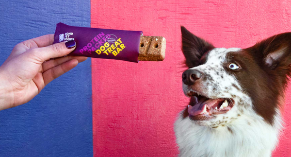 본드 펫 푸드사는 최근 세계 최대의 애완동물사료 제조업체와 거래를 성사시켰다.