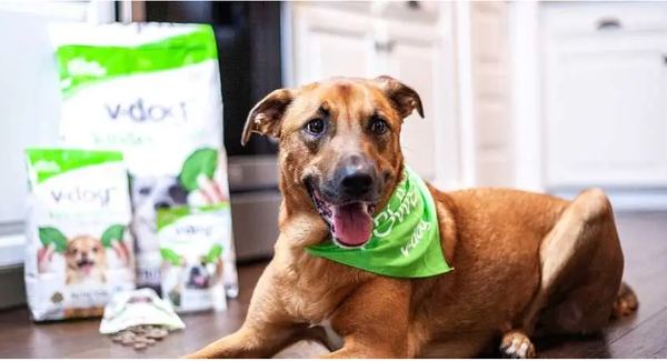 브이-도그는 국내에도 브이-플래닛이란 상표로 수입되고 있는 비건 사료 제조업체다.