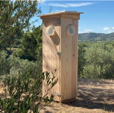 Cearitis가 배발한 피라(PIRA)./Cearitis