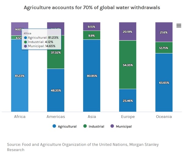유엔식량농업기구가 조사한 바에 따르면 농업이 전 세계 취수량의 70%를 사용 중인 것으로 나타났다./ 유엔식량농업기구, 모건 스탠리 리서치