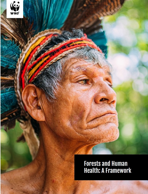 WWF가 내놓은 보고서의 모습/WWF