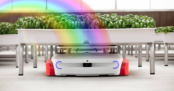 AI 기술을 지닌 로봇이 작물을 관리하고 키우는 아이론 옥스 농장의 모습. /아이론 옥스