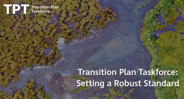 TPT 실행 목표와 같은 상세한 사항은 홈페이지 하단에 '다운로드' 버튼을 클릭해서 확인할 수 있다./TPT