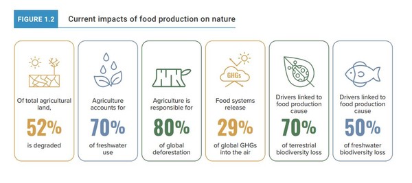 유엔은 '세계토지전망' 보고서를 통해, 전세계 농경지 52%가 황폐화를 겪고 있다고 지적했다./ 유엔 