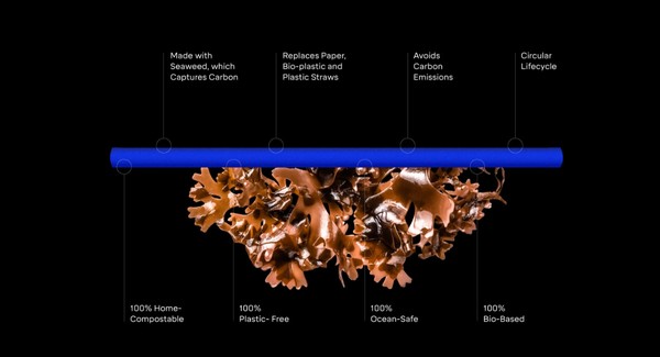 해조류로 만든 빨대는 바나나 껍질만큼 분해속도가 빠른 것이 특징이다./ 롤리웨어