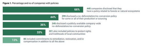 삼림벌채 금지 정책 준수 기업 비중/CDP