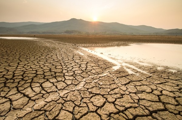 물의 양은 줄어들고 있는데 물의 필요료 하는 양은 점차 늘고 있다./ CDP