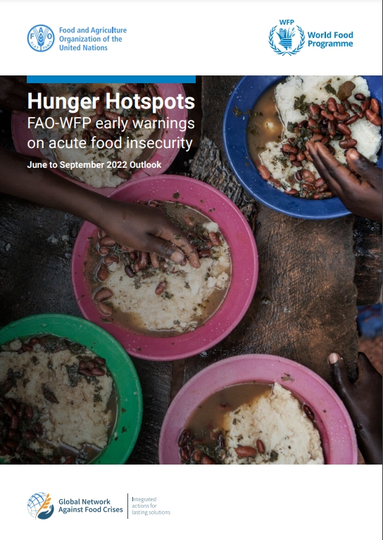 유엔식량농업기구(FAO)와 세계식량계획(WEP)가 함께 내놓은 '기아 핫스팟 보고서'. 식량 안보 문제가 점점 심각한 문제로 대두되고 있다./ WEP