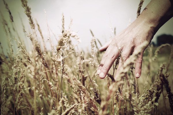 식품ㆍ농업 기업의  스코프3 탄소 배출 감축 시도가 주목받고 있다./게티 이미지