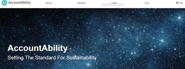 어카운터빌러티 컨설팅 회사의 홈페이지