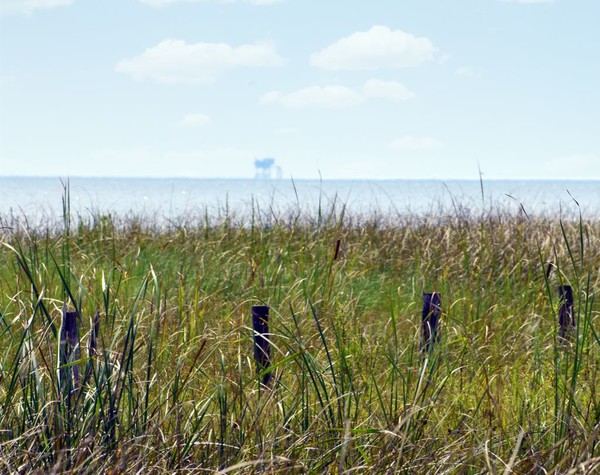 ​미국 걸프 연안에 위치한 탄소포집 프로젝트 현장의 모습/탈로스 에너지인플레이션 감축법이 통과되면서 석유기업들이 탄소 포집 프로젝트 준비로 바빠질 전망이다. / 탈로스 에너지