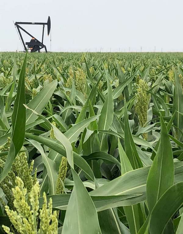 CCS 운영 기업 캡처 포인트는 파이프라인 운영업체인 에너지 트랜스퍼와 파트너십을 맺고 탄소 포집 프로젝트를 진행하고 있다. /캡처포인트