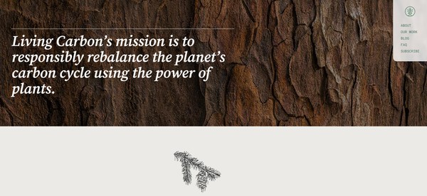 리빙 카본의 홈페이지. 나무를 사려면 이메일을 보내야 한다/홈페이지