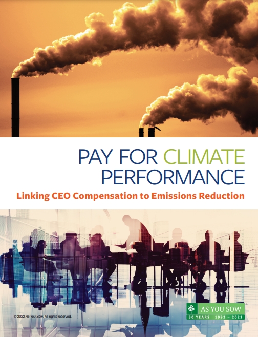ESG 행동주의 투자그룹인 애즈유소우(As You Sow)가 기후 지표를 CEO의 급여와 연관 짓는 것은 배출량을 줄이는 데 거의 도움이 되지 않는다는 내용을 담은 분석을 내놓았다./애즈유소우