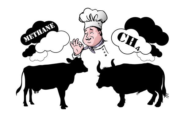 사진제공/픽사베이