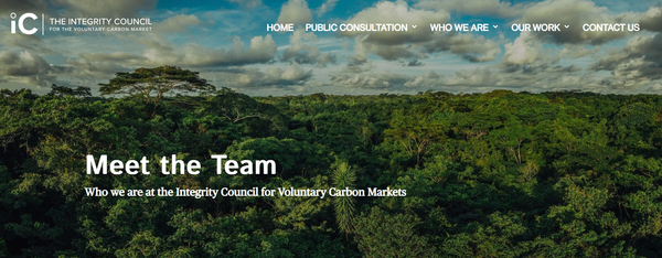 IC-VCM에서 지난 7월 발표한 프레임워크에 대해 신용인증기관들이 계속 반발하고 있다./ ICVCM