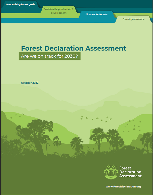 산림선언플랫폼에서 지난 24일 발표한 보고서 표지. /산림선언플랫폼