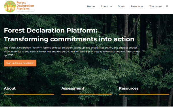 일부 국가의 성과를 바탕으로 적극적인 조치 시 2030년 목표 달성이 가능하다고 본다./산림선언플랫폼