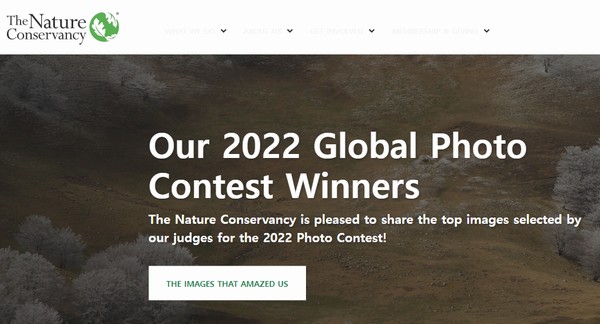 미국 최초의 산호초 보험 계약을 주도한 TNC의 홈페이지