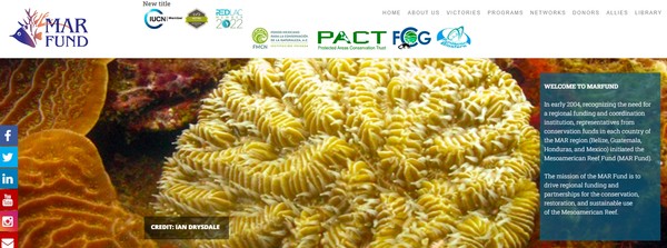 메소아메리카의 산호초를 보호하기 위한 기금인 MAR 펀드의 홈페이지