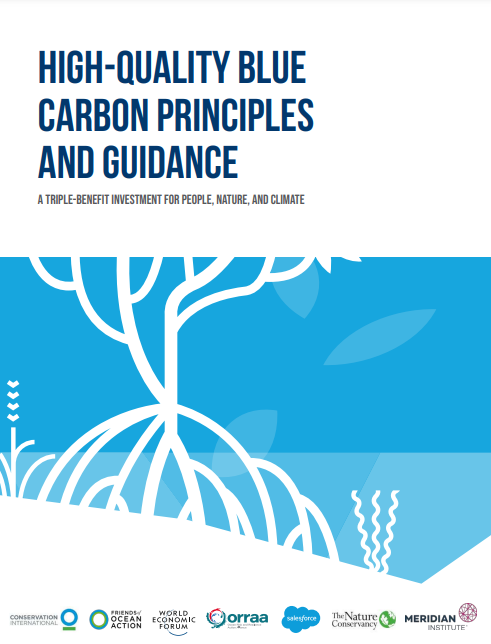 고품질 블루카본 원칙과 지침(High-Quality Blue Carbon Principles and Guidance)’이 창설됐다.