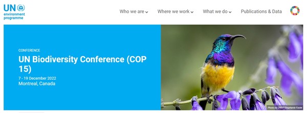 UN의 COP15 홈페이지
