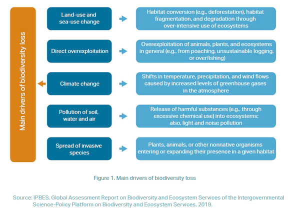 생물다양성 손실 5개 주요 요인. / CEEC