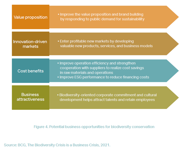 생물다양성 손실로 인한 위험을 해결하기 위한 4가지 방안./ CEEC