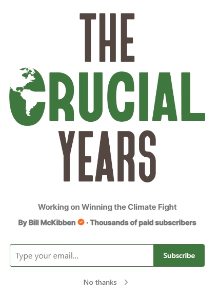 결정적인 해의 홈페이지